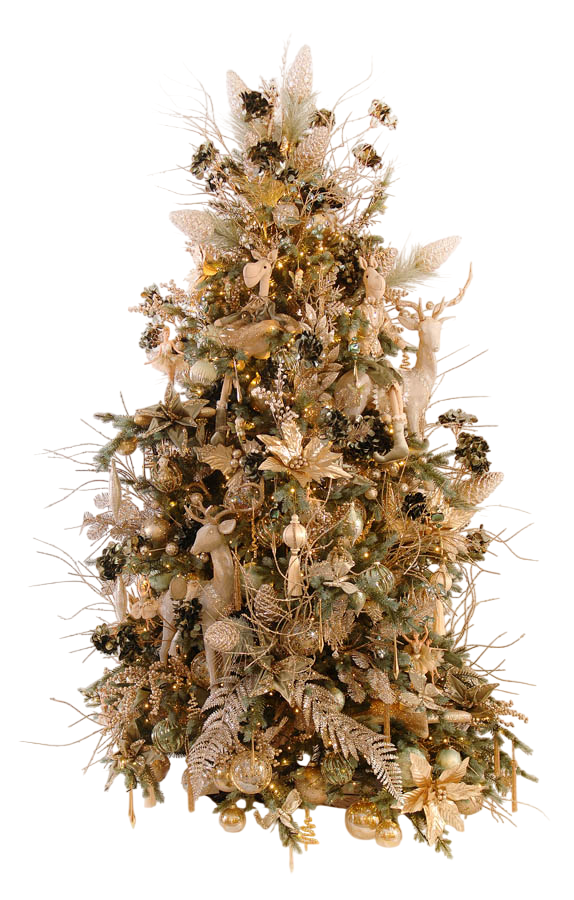 Season of Joy